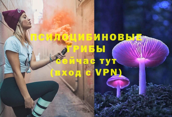 стаф Галич