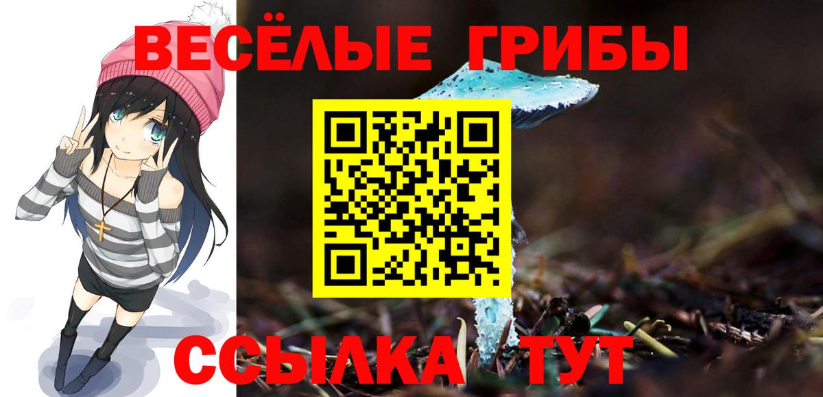 Псилоцибиновые грибы MAGIC MUSHROOMS Ярославль